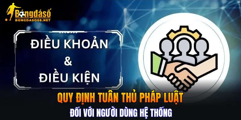 Quy định tuân thủ pháp luật đối với người dùng hệ thống